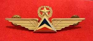Vintage Delta Airlines First Officer Pilot Wings Pin 4th Issue